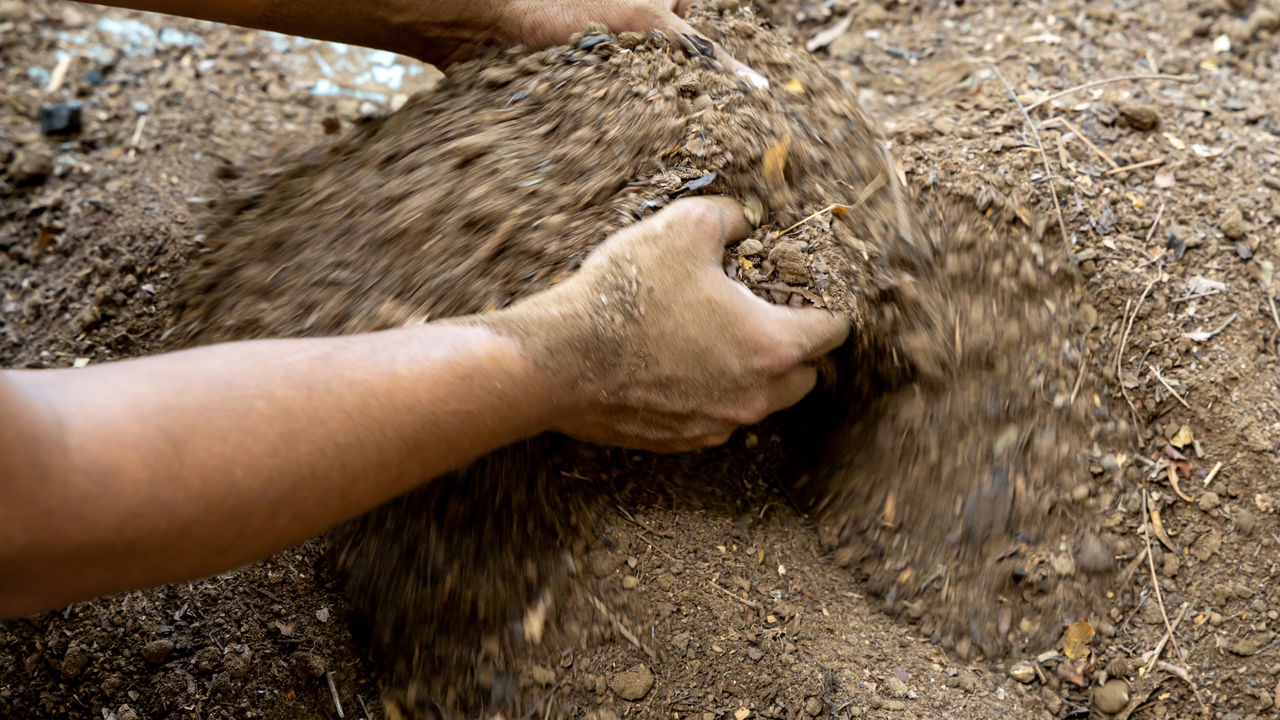 O truque caseiro que está deixando as plantas mais bonitas