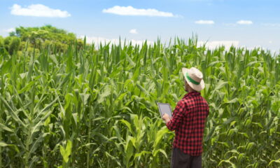 O agro colocou essa cidade de Goiás no topo do Brasil
