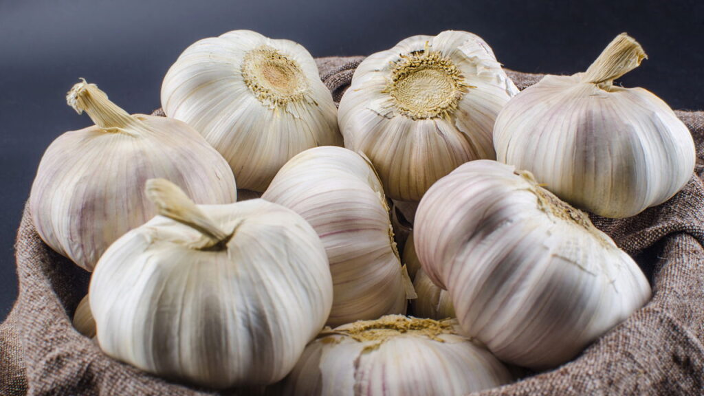 Plante alho em casa e nunca mais compre no mercado
