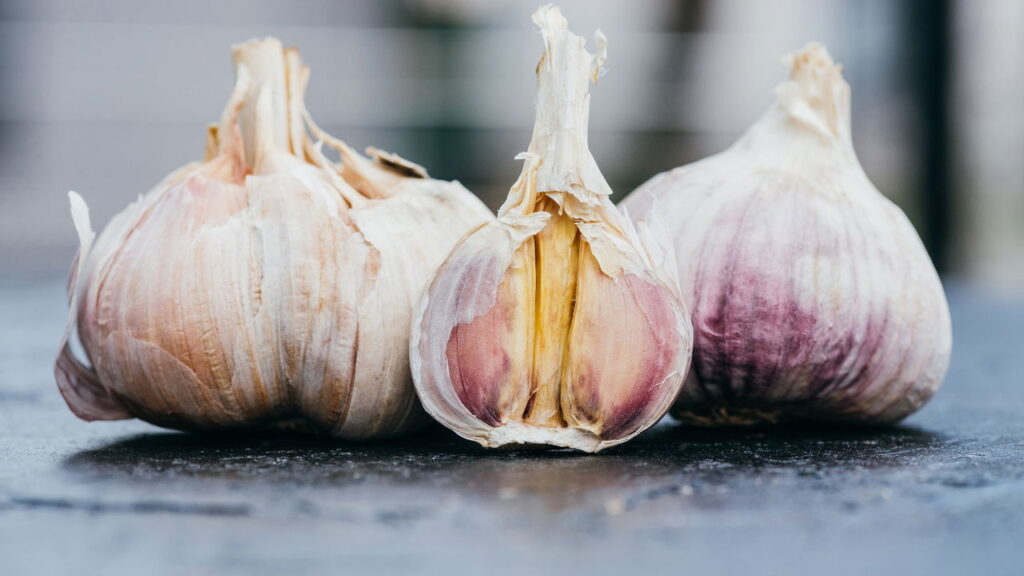 Essa planta está sendo usado como repelente natural para ratos