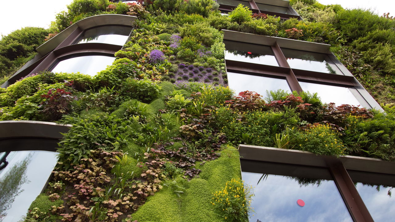 Tendência de arquitetura em 2025 foca no bem-estar