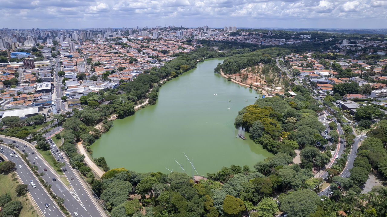Essas cidades estão virando um refúgio verde no meio do caos urbano