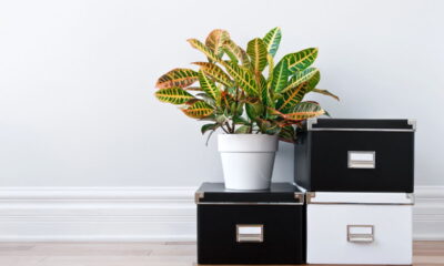 Casa sempre arrumada! O segredo das rotinas simples que transformam seu lar!