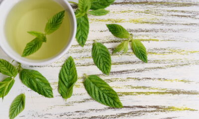 Essa planta simples elimina dores de cabeça naturalmente