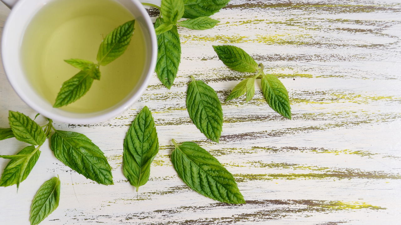 Essa planta simples elimina dores de cabeça naturalmente