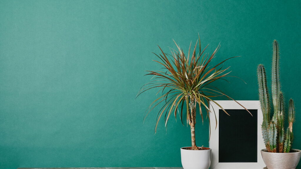 Decoração casa alugada com truques baratos e estilosos