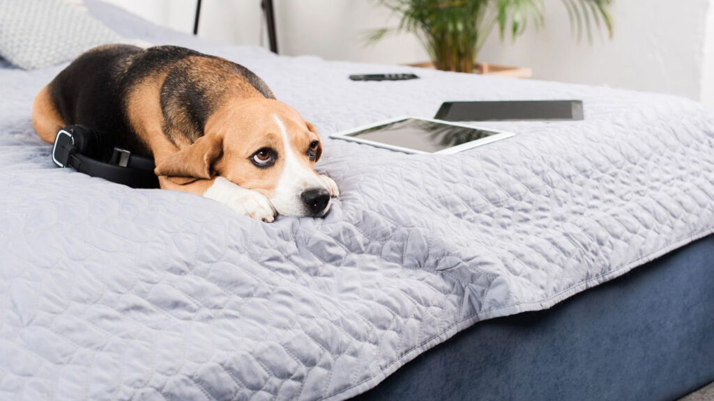 Organização definitiva para quarto pequeno funcional