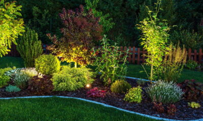 Conheça o segredo fascinante dos jardins que ganham vida após o pôr do sol