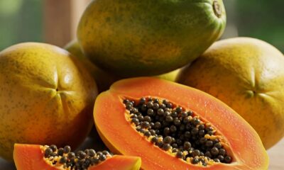 Saiba os melhores motivos para incluir o mamão na dieta