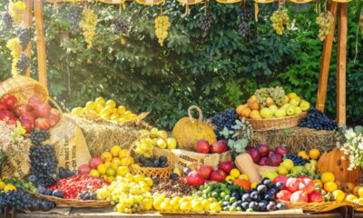 Fruta popular no Brasil entrou na lista de proibidas da Anvisa