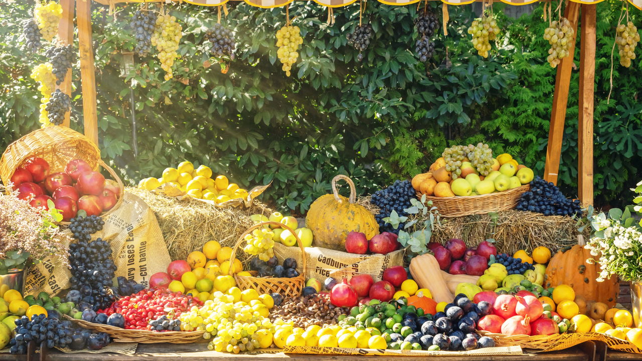 Fruta popular no Brasil entrou na lista de proibidas da Anvisa