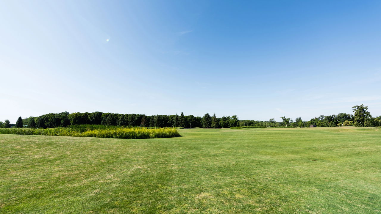 Seu gramado está manchado? Confira as causas escondidas e salve seu jardim