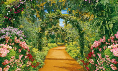 Jardim dos sonhos! 8 dicas incríveis para economizar e ter um espaço verde lindo!