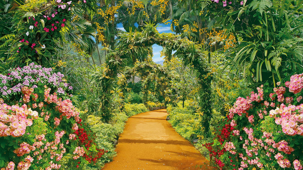 Jardim dos sonhos! 8 dicas incríveis para economizar e ter um espaço verde lindo!