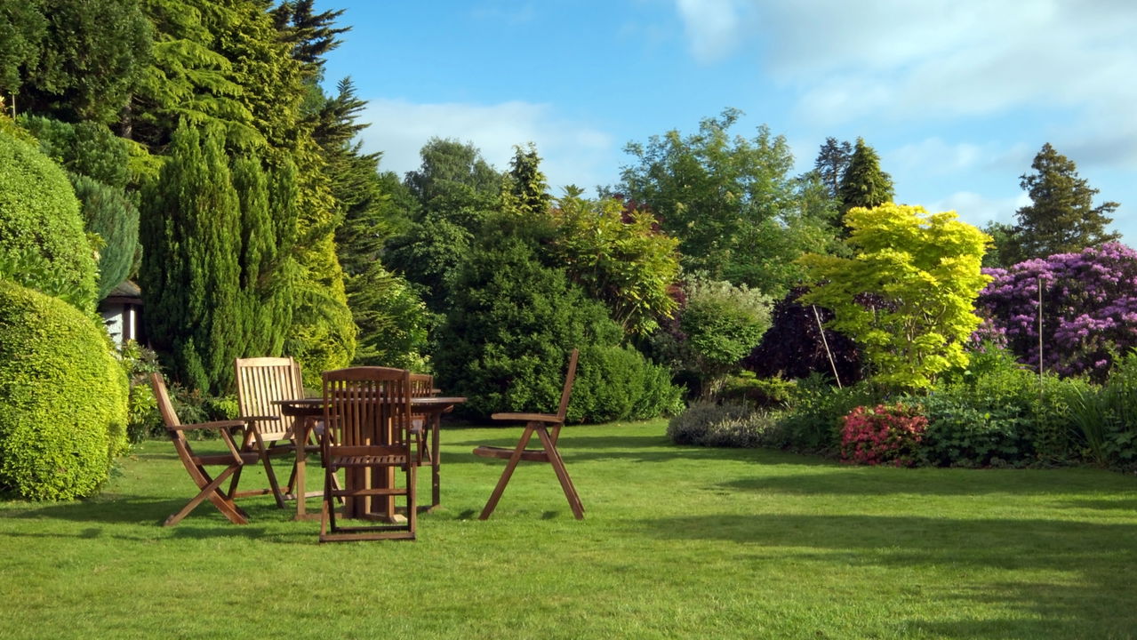 Os cuidados essenciais que transformam seu jardim em um oásis urbano