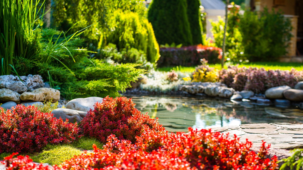 Lago no quintal! O segredo para transformar seu jardim em um oásis de bem-estar!