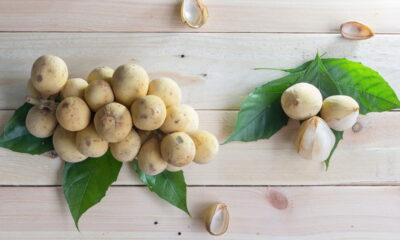 Fruta com sabor de manga com abacaxi é muito fácil de plantar em casa