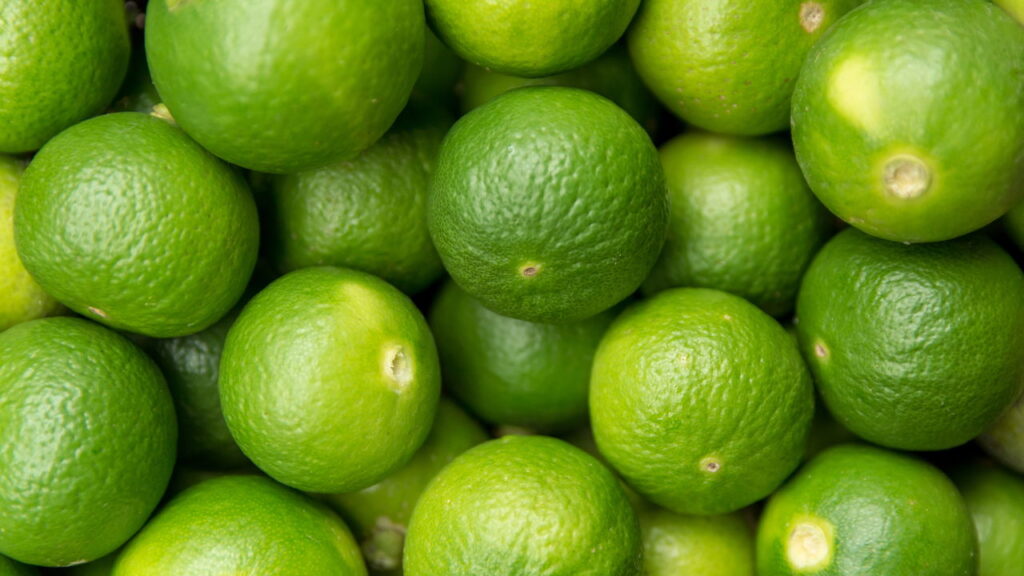 Essa fruta cresce fácil até em balde de plástico