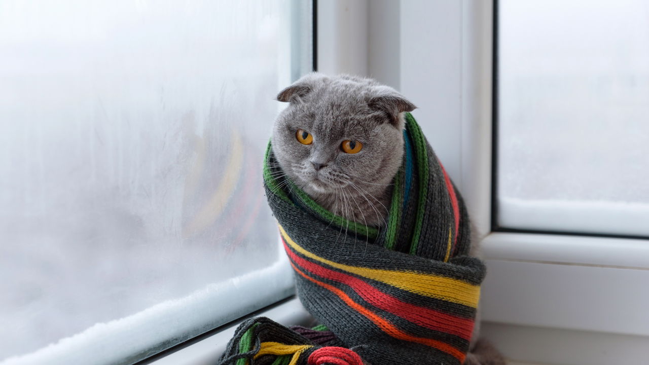 Os looks de inverno 2025 que vão transformar seu estilo