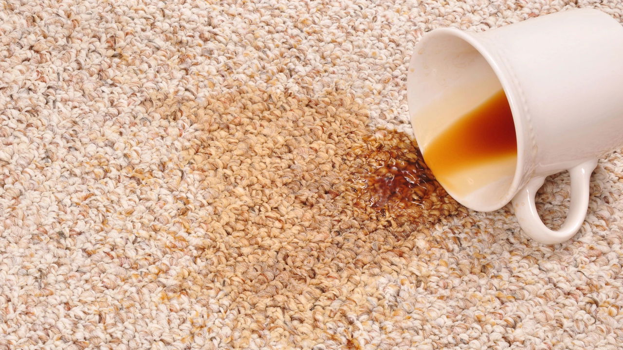Como tirar mancha de café sem esforço e sem produtos caros