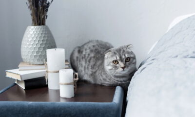 Ideias de mesas de cabeceira que todos vão amar