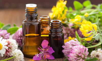 Técnica com óleo transforma fios secos em cabelos sedosos