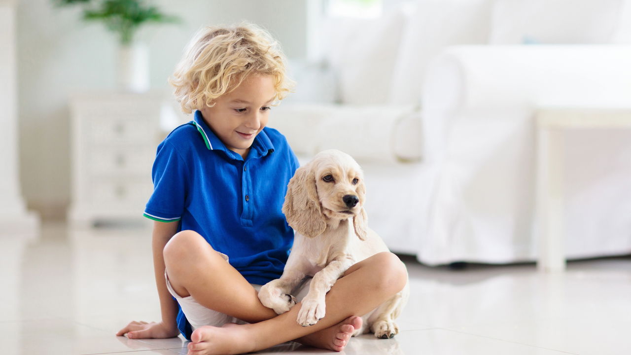 Limpeza que protege crianças e pets vai surpreender você