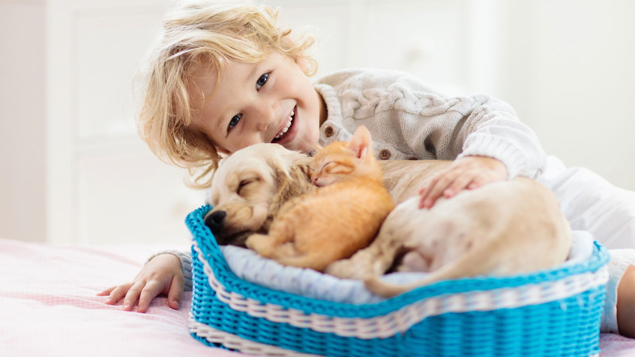 Dicas infalíveis para manter a casa limpa com pets e crianças