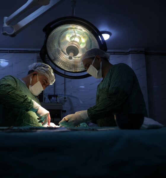 Reprodução/ Pexels