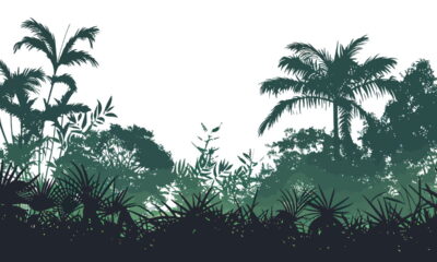 Planta misteriosa floresce pela 1ª vez e atrai olhares do planeta