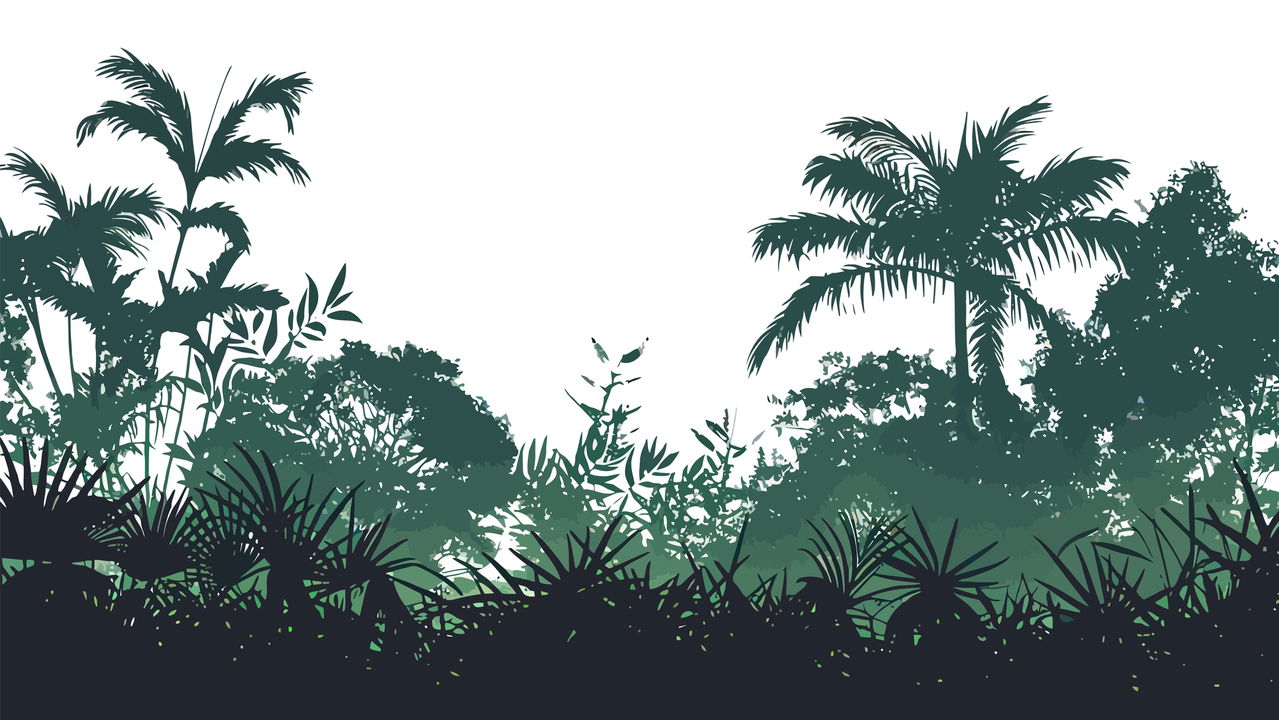 Planta misteriosa floresce pela 1ª vez e atrai olhares do planeta