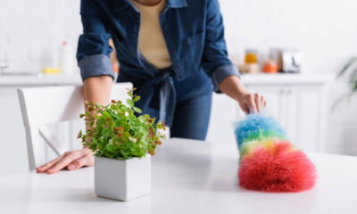 O que ninguém te conta sobre o acúmulo de poeira em casa