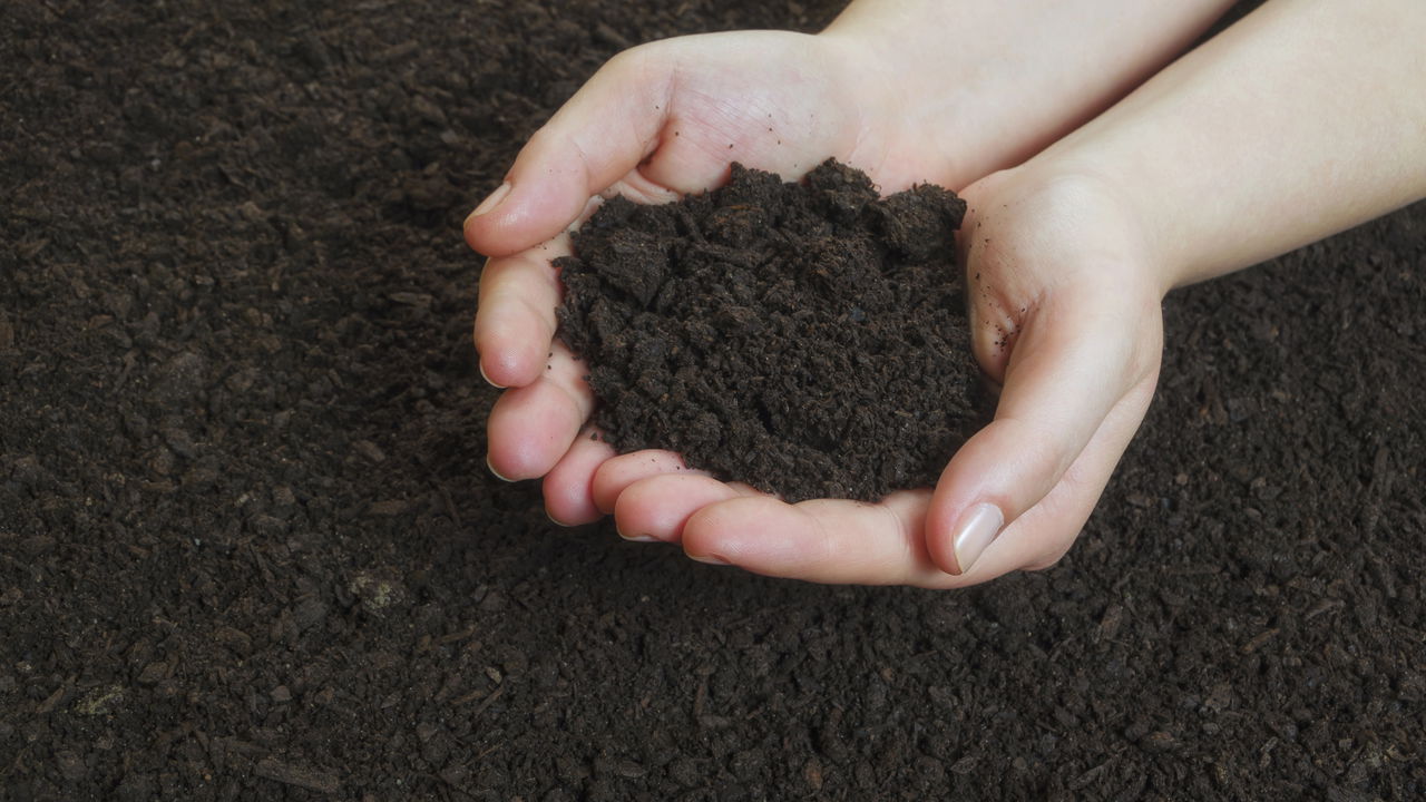 Solo perfeito em casa! Crie sua mistura de substrato para vasos e economize!