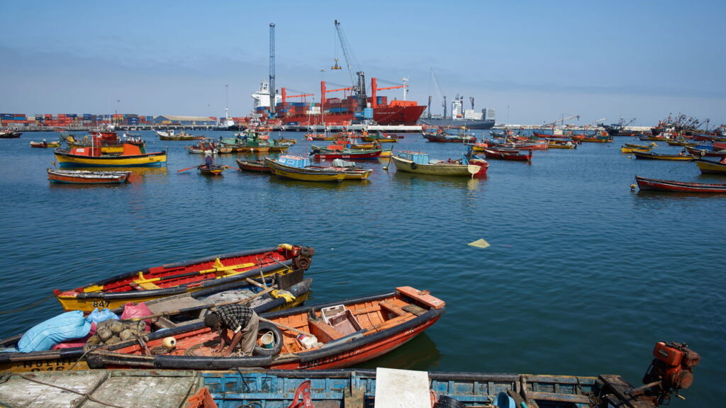 A cidade chilena que vive na eterna primavera