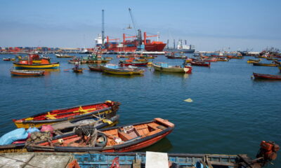 Uma cidade que vive em uma primavera eterna