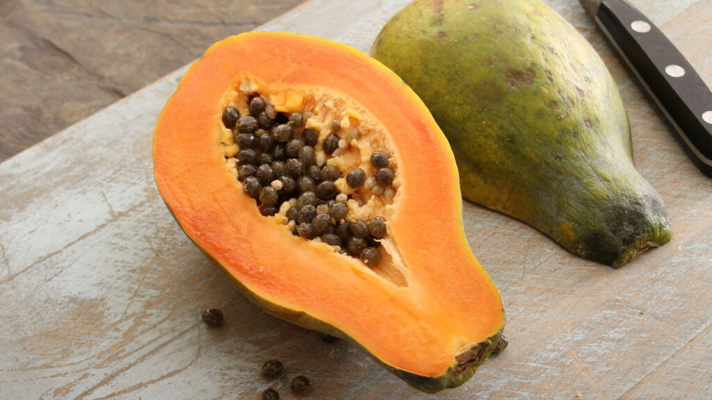 Plante mamão da semente e colha em menos de 1 ano
