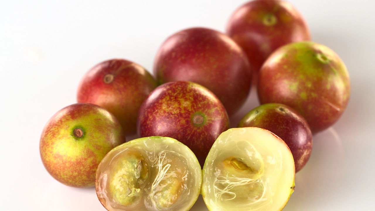 Fruta rica em vitamina C que cresce na garrafa PET