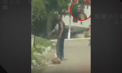 Cachorro resgatado após ser arrastado por corda em Itaboraí