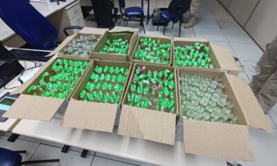 PRF apreende mais de mil frascos de lança-perfume e drogas sintéticas em ônibus na BR-040