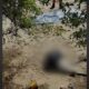 Parte de corpo humano é encontrado na Praia dos Tamoios, em Paquetá