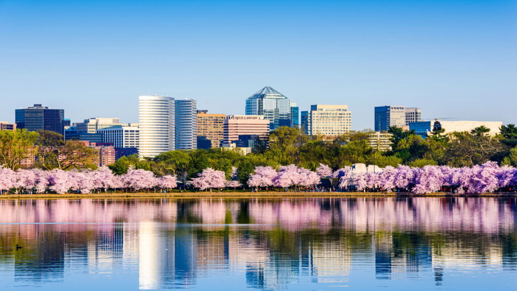 Cidade planejada no século XVIII, hoje define o futuro do mundo