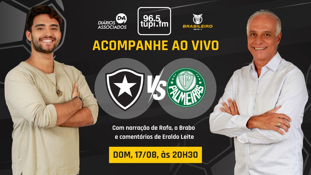 Botafogo x Palmeiras ao vivo