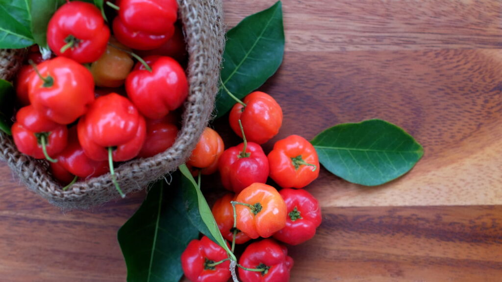 Cultive acerola em vaso e nunca mais compre vitamina C

