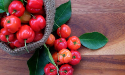 Especialistas afirmam que cultivar acerola é mais fácil do que você imagina