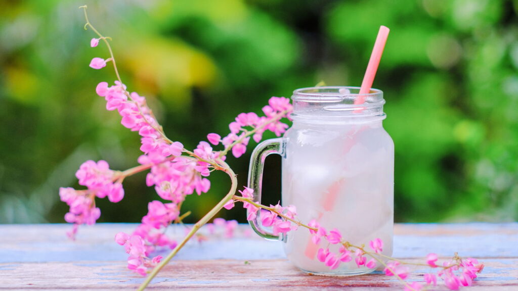 Use água de coco e fortaleça suas plantas já