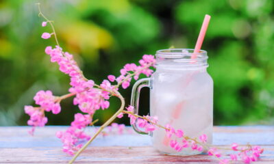 Use água de coco e fortaleça suas plantas já