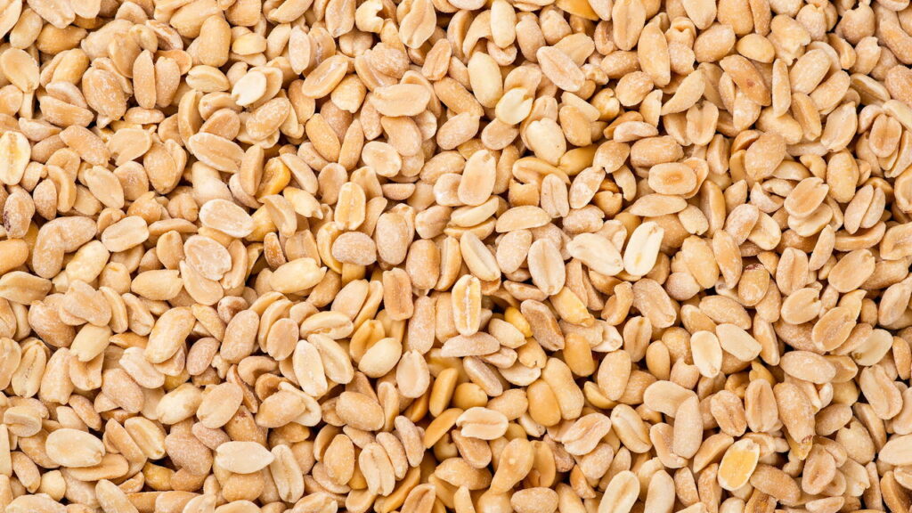 Esse alimento barato ajuda no foco diário
