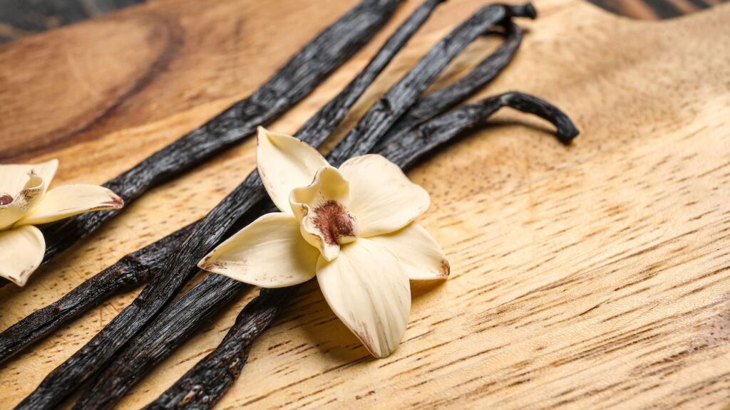 Baunilha se torna o novo xodó dos amantes de jardinagem