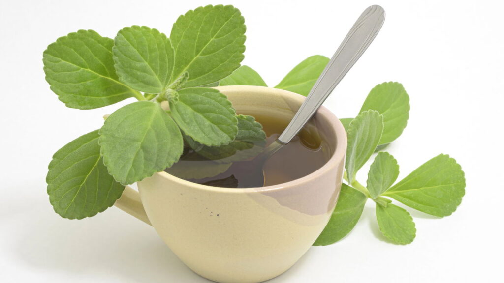 Planta que melhora digestão e previne azia
