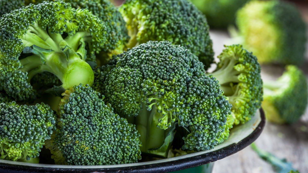 Cultive brócolis em casa e garanta alimentos frescos sempre